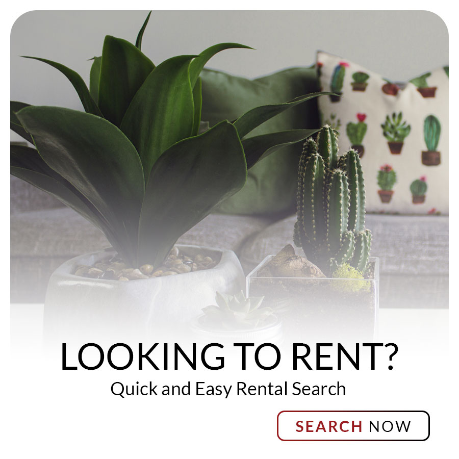 Rental Search Apartments